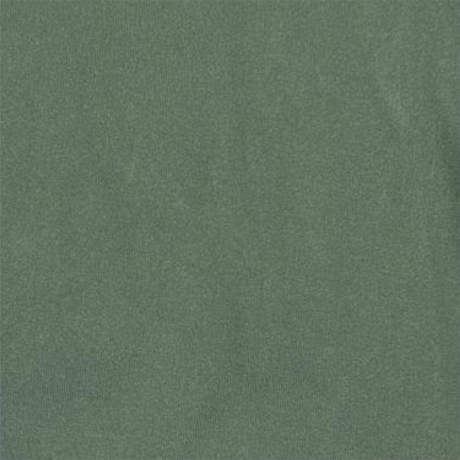 VERDE MUSGO